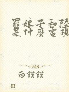 罗娘子和陆三郎是什么电视剧名字