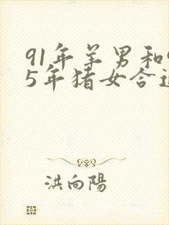 91年羊男和95年猪女合适吗