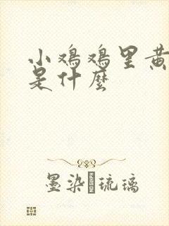 小鸡鸡里黄色的是什么