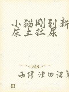 小猫刚到新家在床上拉尿