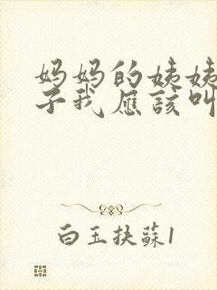 妈妈的姨姨的儿子我应该叫什么封面