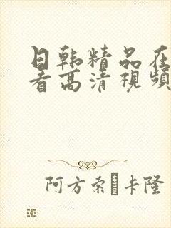 日韩精品在线观看高清视频