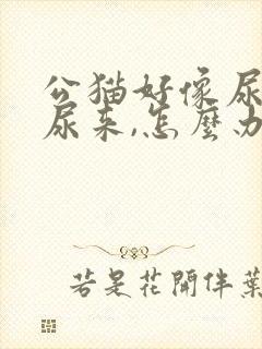 公猫好像尿不出尿来,怎么办