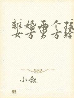 离婚两个孩子归女方男方给多少抚养费封面