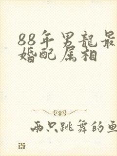 88年男龙最佳婚配属相