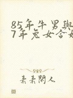 85年牛男与87年兔女合婚吗