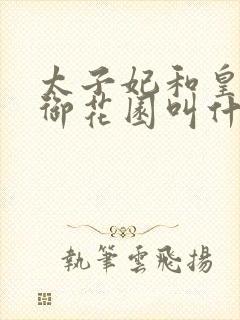 太子妃和皇帝在御花园叫什么小说