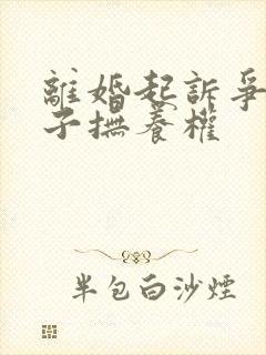 离婚起诉争夺孩子抚养权