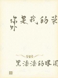 你是我的荣耀番外