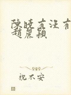 陈晓有没有爱过赵丽颖