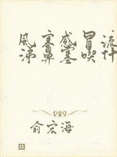 风寒感冒流清鼻涕鼻塞吃什么药