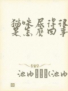 猫咪尿得很频繁是怎么回事