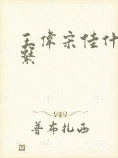 王伟宋佳什么关系