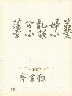 荡公乱妇第51章小说小莹封面