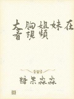 大胸姐妹在线观看视频