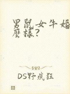 男鼠女牛婚姻怎么样?封面