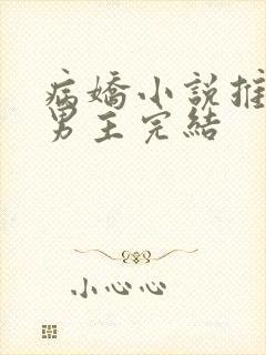 病娇小说推荐双男主完结