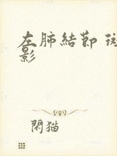 左肺结节 斑点影