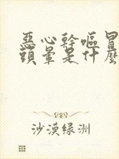 恶心干呕冒冷汗头晕是什么原因引起的