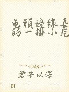 龟头边缘长白色的一排小疙瘩