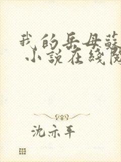 我的岳母苏沛真 小说在线阅读