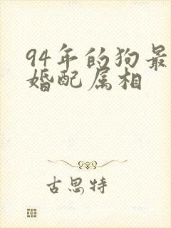 94年的狗最佳婚配属相