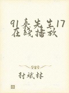 91秦先生17在线播放封面