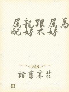 属龙跟属马的婚配好不好