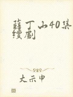 薛丁山40集连续剧