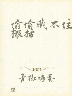 偷偷藏不住情节概括封面