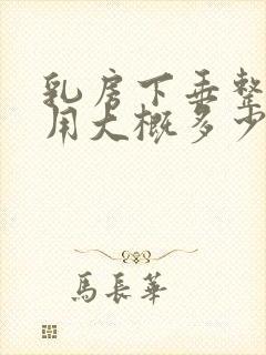 乳房下垂整形费用大概多少钱