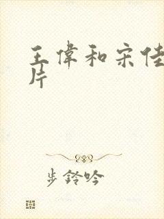 王伟和宋佳的照片