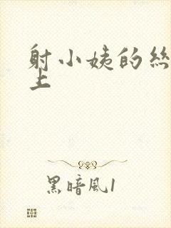 射小姨的丝袜脚上