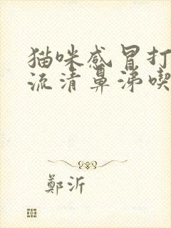 猫咪感冒打喷嚏流清鼻涕吃什么药