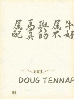 属马与属牛的婚配真的不好吗封面