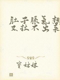 肚子胀气想拉屎又拉不出来怎么办封面