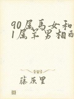 90属马女和91属羊男相配吗?