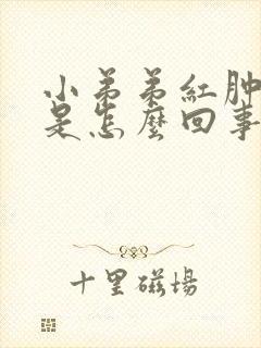 小弟弟红肿发痒是怎么回事封面