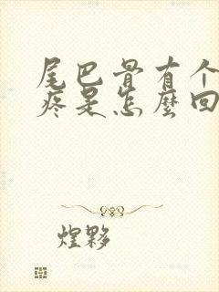 尾巴骨有个疙瘩疼是怎么回事