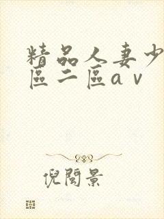 精品人妻少妇一区二区aⅴ