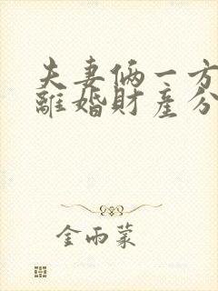 夫妻俩一方出轨离婚财产分割