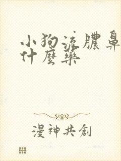 小狗流脓鼻涕用什么药封面