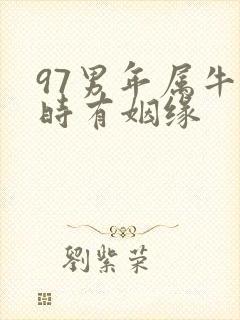 97男年属牛何时有姻缘封面