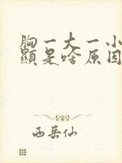 胸一大一小很明显是啥原因