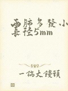 两肺多发小结节长径5mm