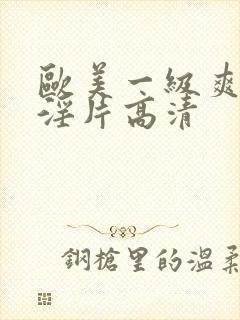 欧美一级爽快片淫片高清