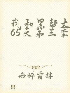 我和黑帮大佬365天第三季