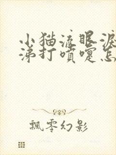 小猫流眼泪流鼻涕打喷嚏怎么治疗