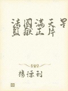 法国满天星高压监狱正片封面