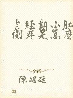 月经期小肚子左侧疼是怎么回事女性